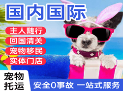三沙永兴机场快运国际宠物托运 【国